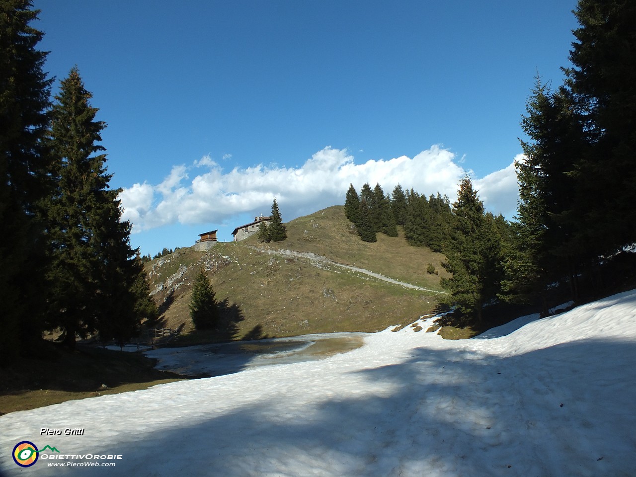 81 e saliamo alla Baita di Fogarolo (1405 m).JPG